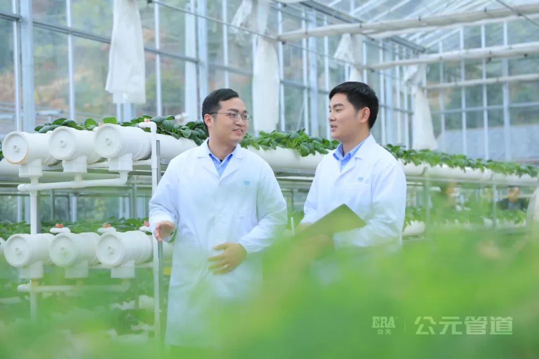 Cmp(冠军)官网 - 西甲希洪竞技主赞助商